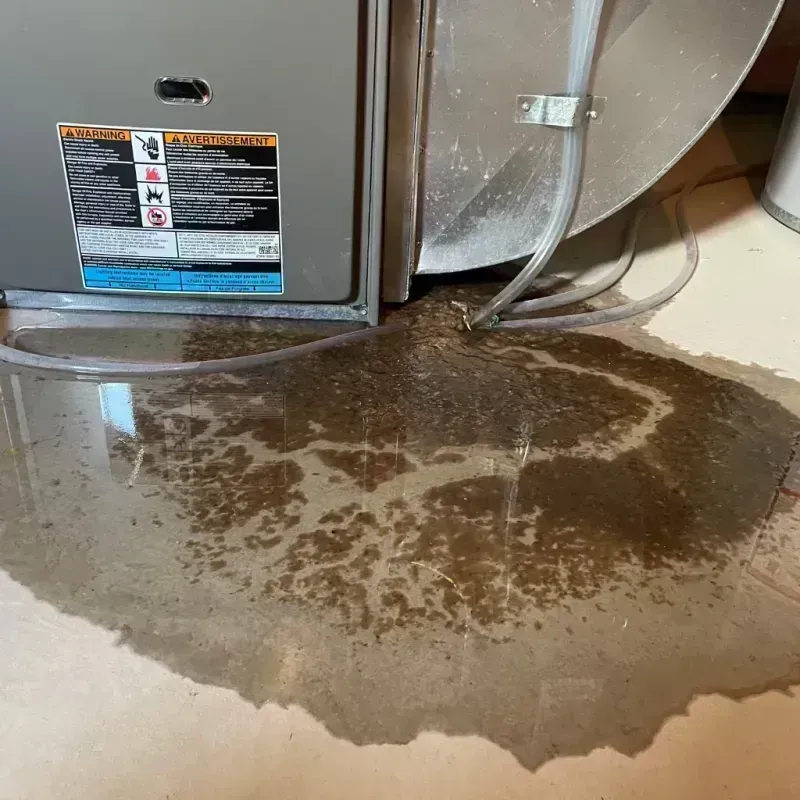 Appliance Leak Cleanup in Grand County, CO